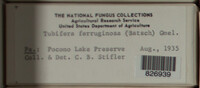 Image Associated With the Occurence